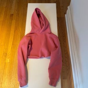 XS Aritzia Tna cropped hoodie in pink